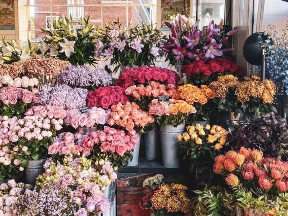 Flower bible - where and when to buy the perfect bunch
